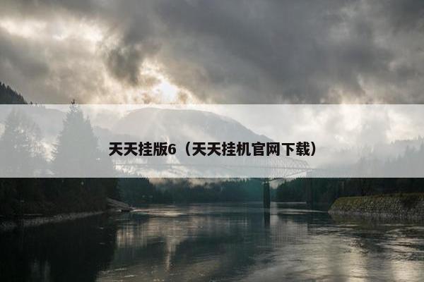 天天挂版6（天天挂机官网下载）