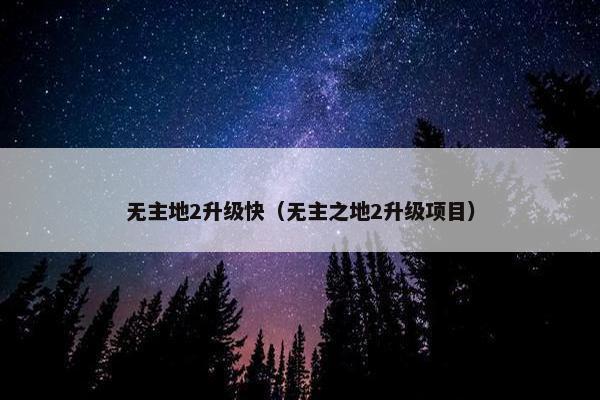 无主地2升级快（无主之地2升级项目）