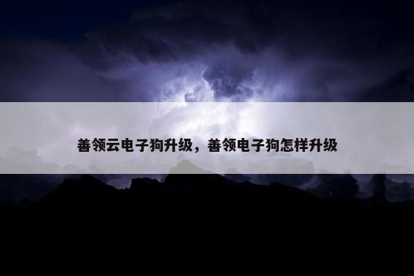 善领云电子狗升级，善领电子狗怎样升级