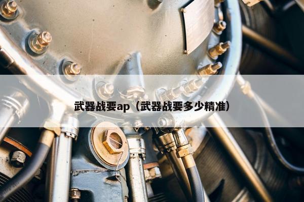 武器战要ap（武器战要多少精准）