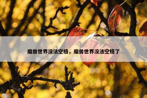 魔兽世界没法空格，魔兽世界没法空格了