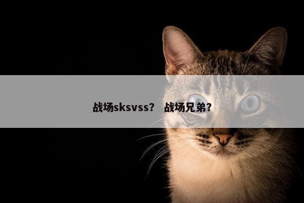战场sksvss？ 战场兄弟？