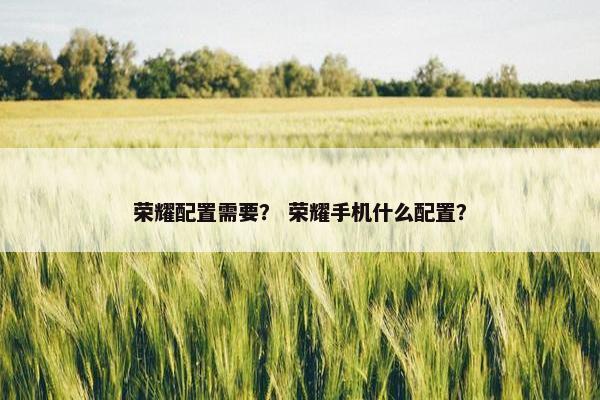荣耀配置需要？ 荣耀手机什么配置？