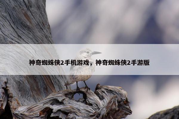 神奇蜘蛛侠2手机游戏，神奇蜘蛛侠2手游版