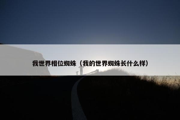 我世界相位蜘蛛（我的世界蜘蛛长什么样）
