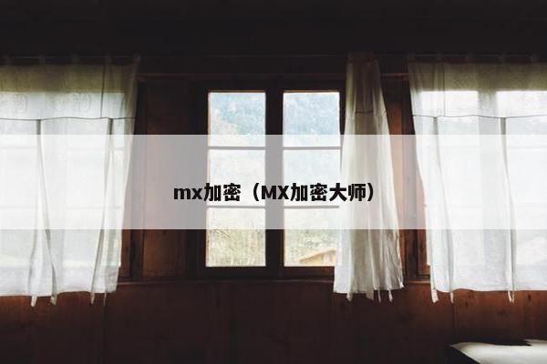 mx加密（MX加密大师）