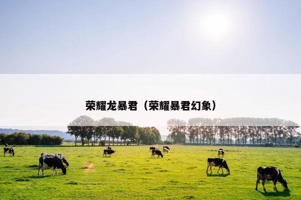 荣耀龙暴君（荣耀暴君幻象）