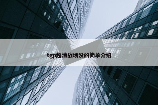 tgp超清战场没的简单介绍