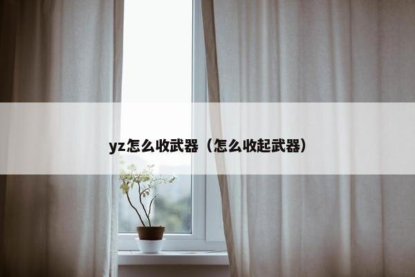 yz怎么收武器（怎么收起武器）