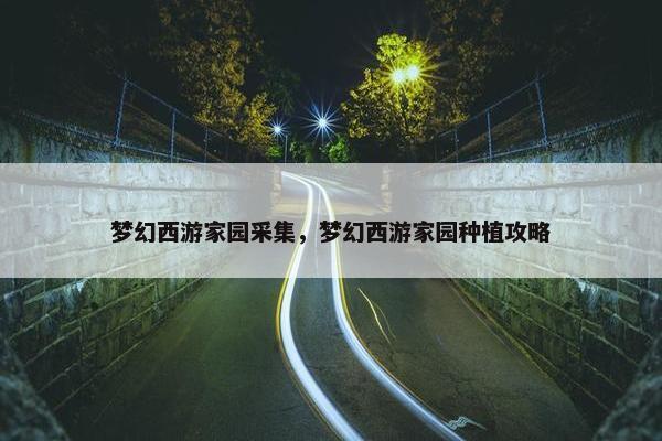 梦幻西游家园采集，梦幻西游家园种植攻略