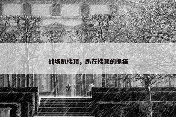 战场趴楼顶，趴在楼顶的熊猫