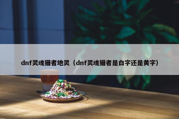 dnf灵魂猎者地灵（dnf灵魂猎者是白字还是黄字）