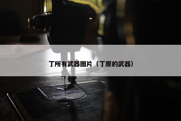 丁所有武器图片（丁原的武器）