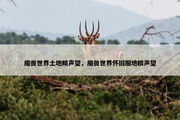 魔兽世界土地精声望，魔兽世界怀旧服地精声望