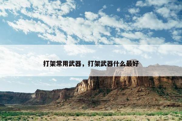打架常用武器，打架武器什么最好