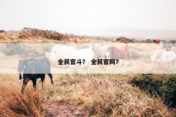 全民官斗？ 全民官网？