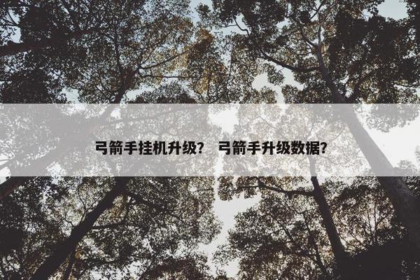 弓箭手挂机升级？ 弓箭手升级数据？