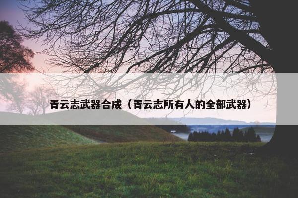 青云志武器合成（青云志所有人的全部武器）