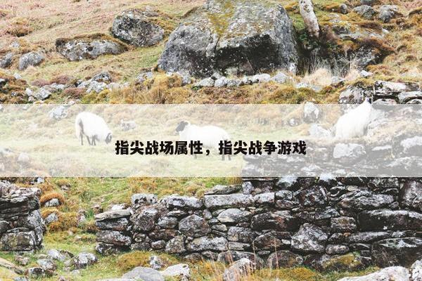 指尖战场属性，指尖战争游戏
