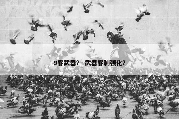 9客武器？ 武器客制强化？