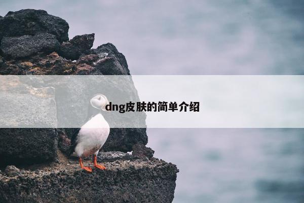 dng皮肤的简单介绍