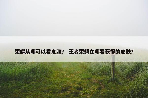 荣耀从哪可以看皮肤？ 王者荣耀在哪看获得的皮肤？
