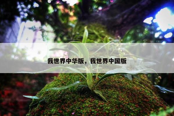 我世界中华版，我世界中国版