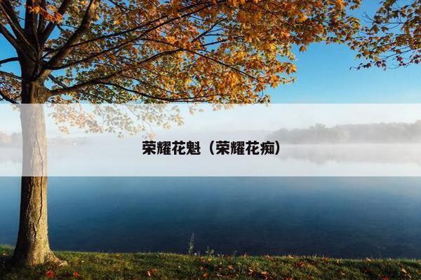 荣耀花魁（荣耀花痴）