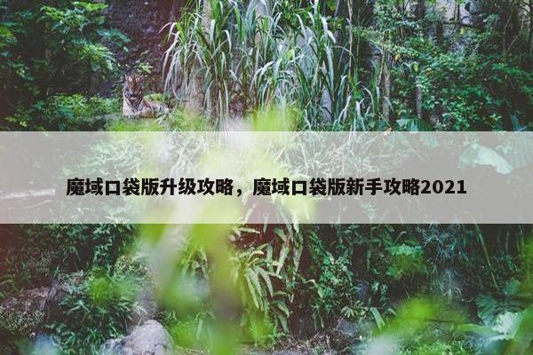 魔域口袋版升级攻略，魔域口袋版新手攻略2021
