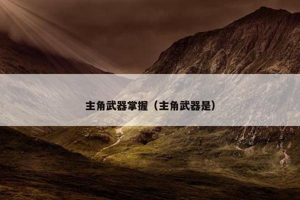 主角武器掌握（主角武器是）