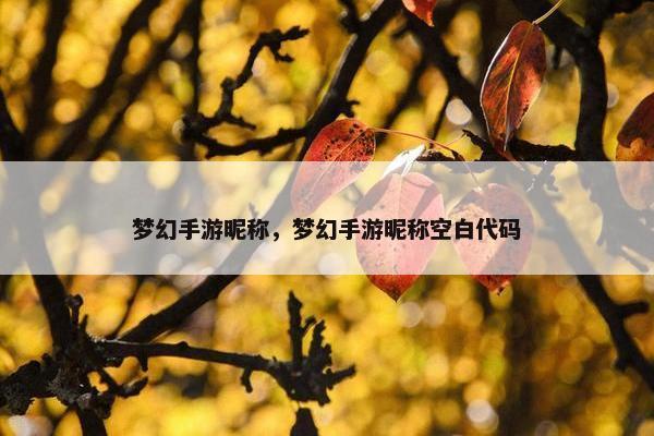 梦幻手游昵称，梦幻手游昵称空白代码