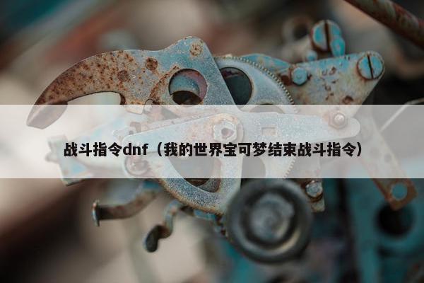 战斗指令dnf（我的世界宝可梦结束战斗指令）