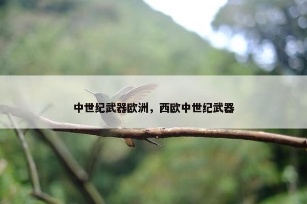 中世纪武器欧洲，西欧中世纪武器