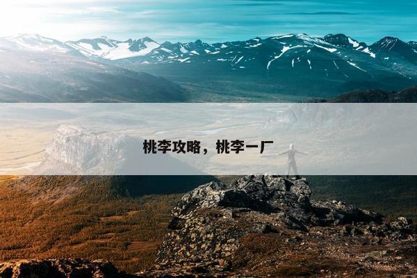 桃李攻略，桃李一厂