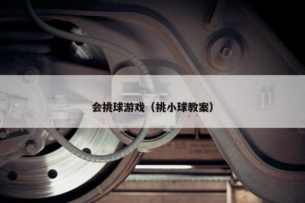 会挑球游戏（挑小球教案）