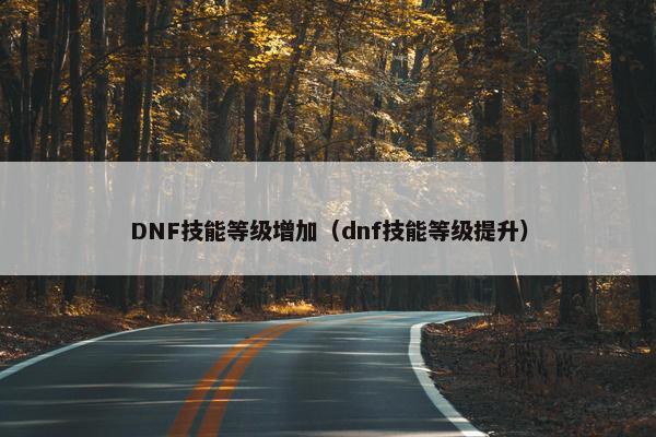 DNF技能等级增加（dnf技能等级提升）