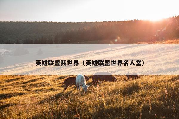 英雄联盟我世界（英雄联盟世界名人堂）