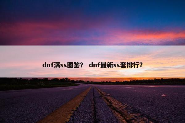 dnf满ss图鉴？ dnf最新ss套排行？