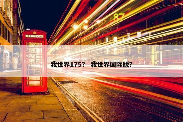 我世界175？ 我世界国际版？