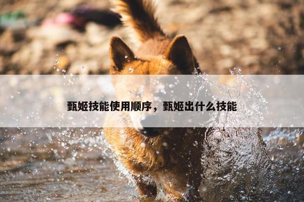 甄姬技能使用顺序，甄姬出什么技能