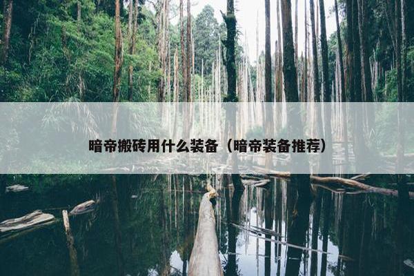 暗帝搬砖用什么装备（暗帝装备推荐）