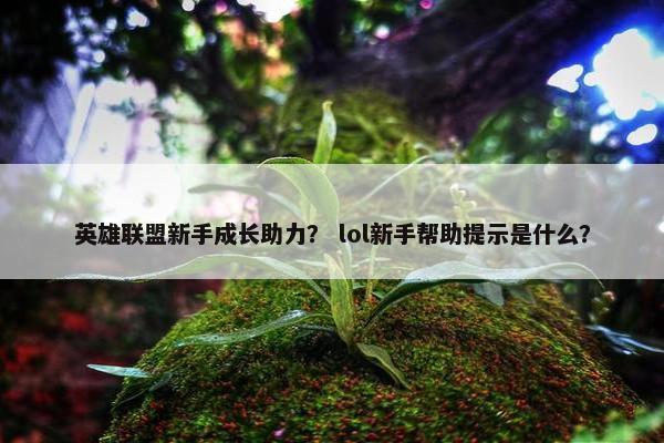 英雄联盟新手成长助力？ lol新手帮助提示是什么？