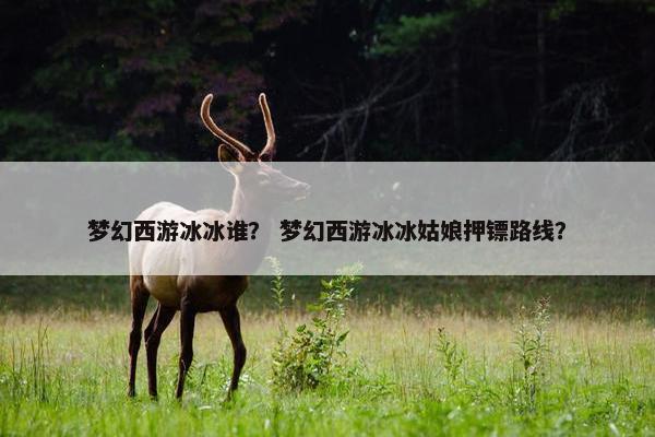 梦幻西游冰冰谁？ 梦幻西游冰冰姑娘押镖路线？