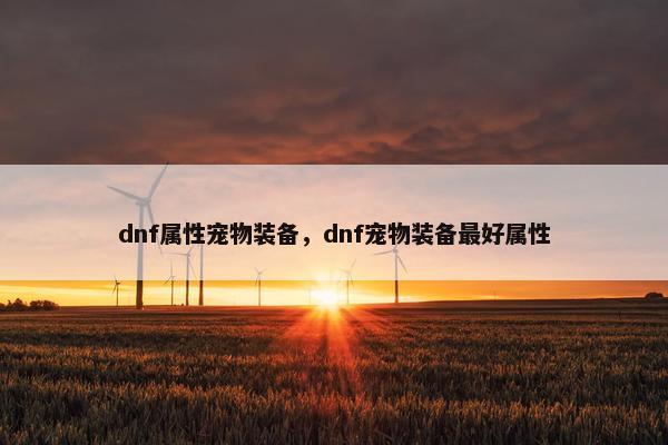 dnf属性宠物装备，dnf宠物装备最好属性