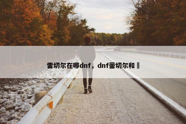 雷切尔在哪dnf，dnf蕾切尔和璘