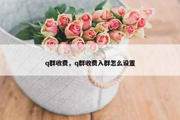q群收费，q群收费入群怎么设置