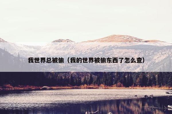 我世界总被偷（我的世界被偷东西了怎么查）