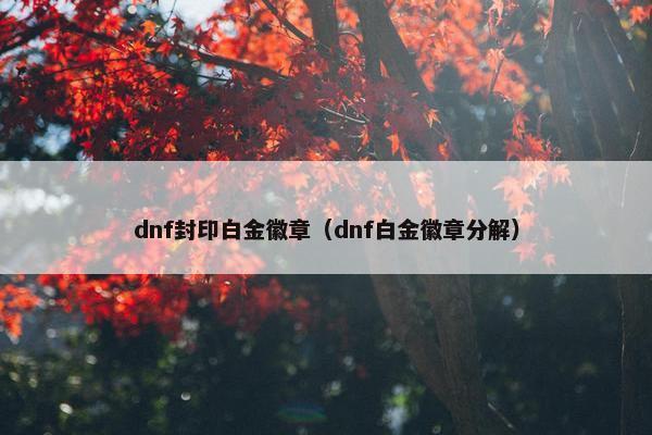 dnf封印白金徽章（dnf白金徽章分解）
