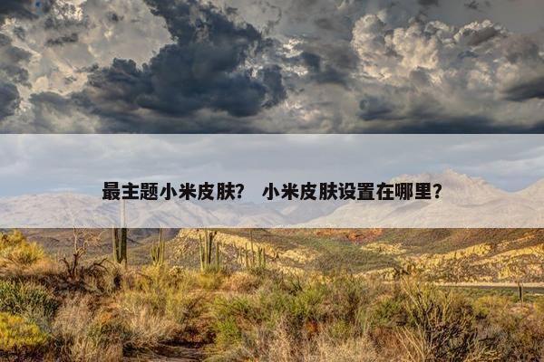 最主题小米皮肤？ 小米皮肤设置在哪里？