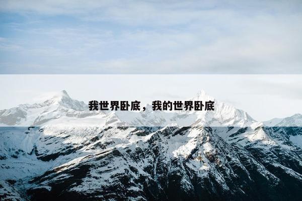 我世界卧底，我的世界卧底